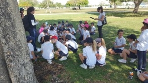Earth Conscious Grade 2’s spend day at Aspire Park